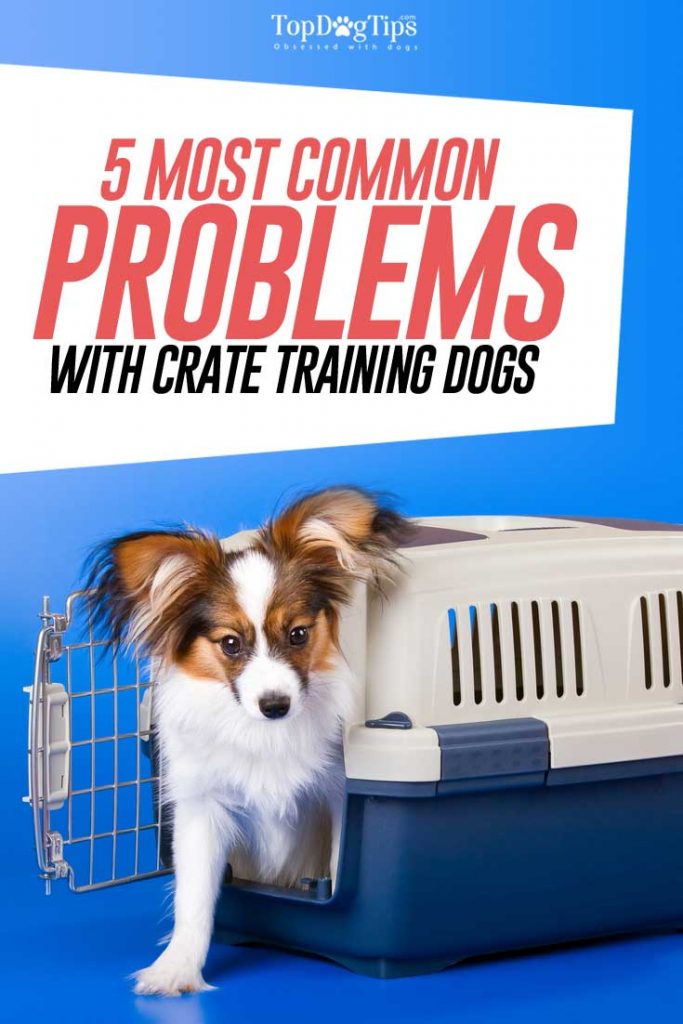 Most Common Problems with Crate Training Dogs