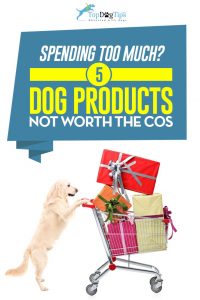 Premium Quality Dog Supplies That Are NOT Worth the High Cost