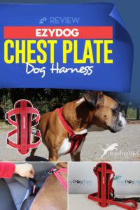 Review of EzyDog Chest Plate Dog Harness