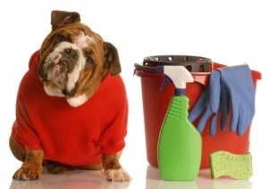 Pet-friendly dog cleaning products