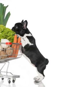 Supermarket dog supplies for new puppies