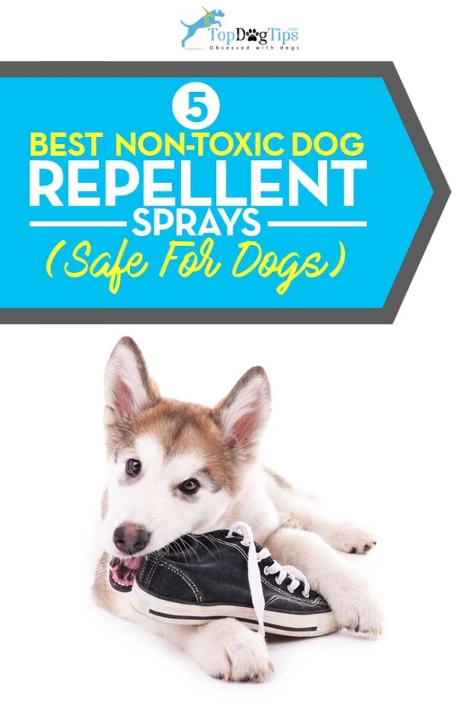 Top 5 Best Non-Toxic Dog Repellent Sprays