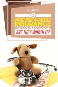 Top Best Pet Insurance Plans for Dogs