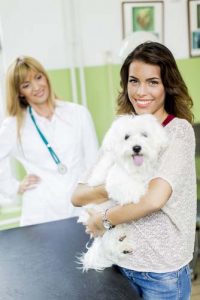 Veterinary technician jobs for dog owners