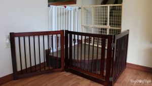 Testing and Reviewing Best Dog Gates Indoor and Outdoor