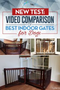 Compare Best Dog Gates Reviews