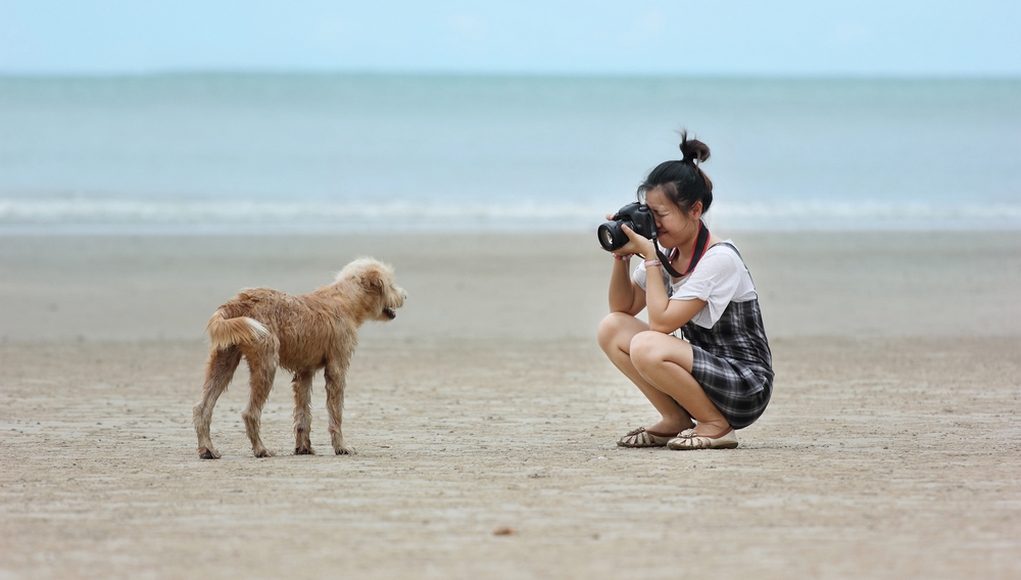 Dog Photography Tools