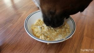 Homemade Dog Food for Liver Disease Recipe