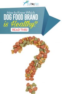 How to Know Which is the Healthiest Dog Food