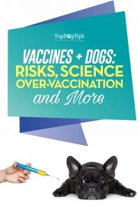 How to Prevent Over-Vaccination in Dogs