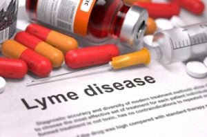 Lyme disease over-vaccination in dogs