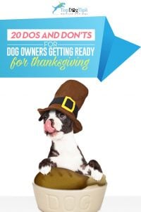 Thanksgiving with Dogs: 20 Dos and Don'ts for Pet Parents