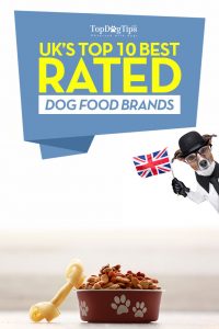 Top Best Dog Food UK Brands