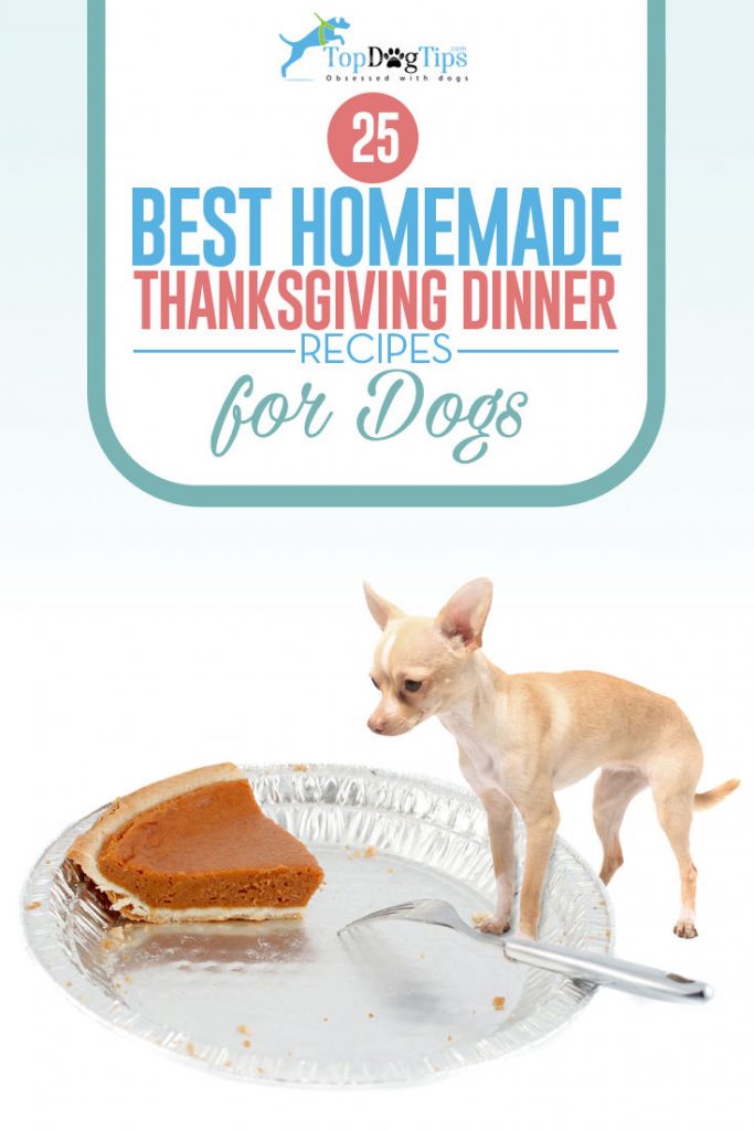 Top Best Thanksgiving Dinner Recipes for Dogs