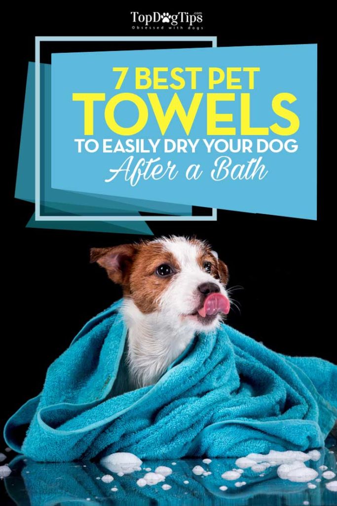 Top Rated Best Dog Towels for Drying Dogs After Bathing