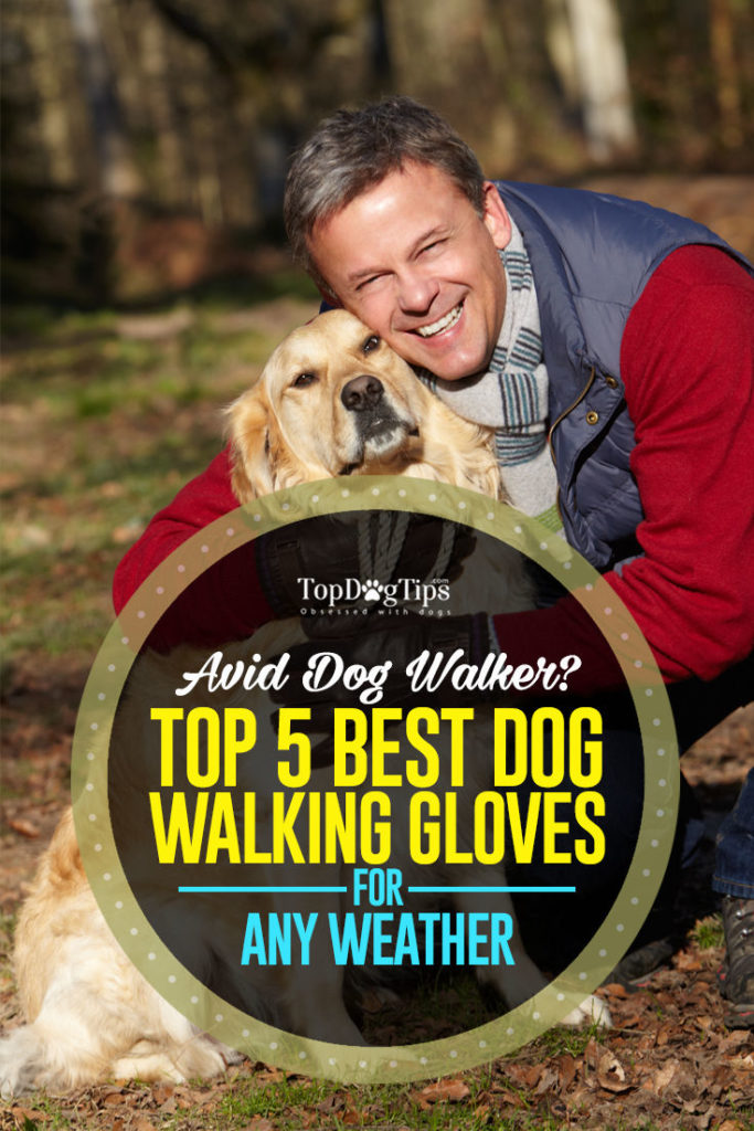 Top Rated Dog Walking Gloves