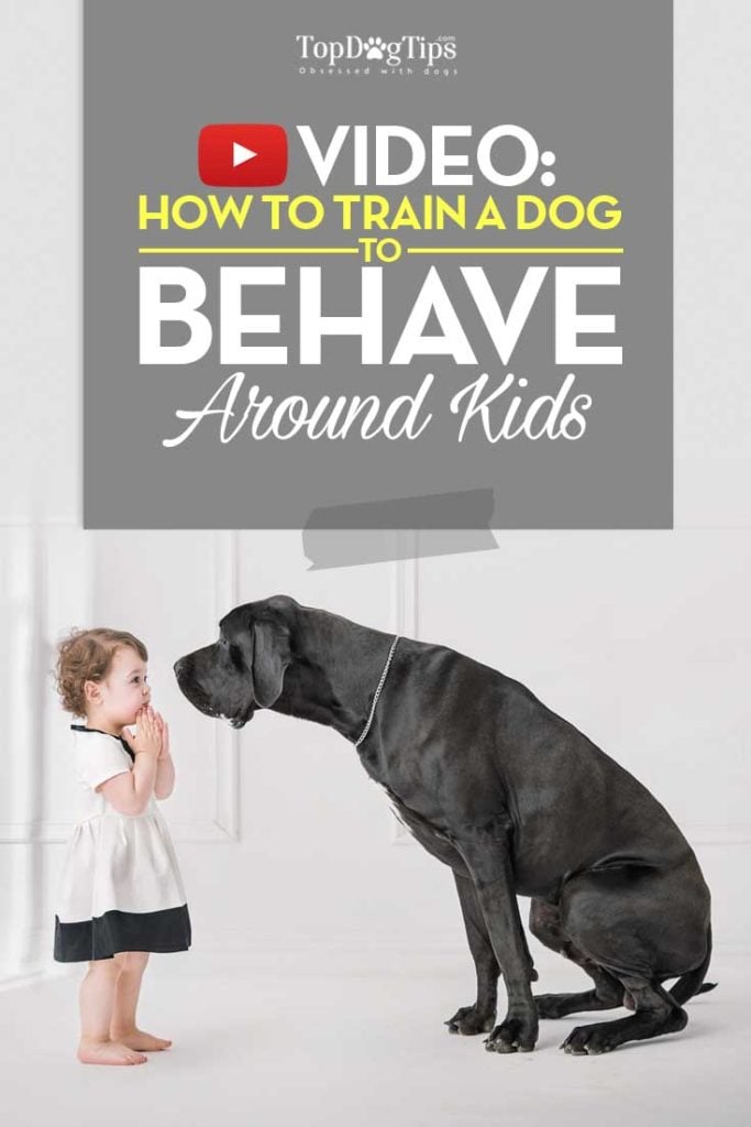 Training Dogs to Behave Around Kids