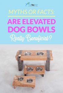 Benefits of Elevated Food Bowls for Dogs