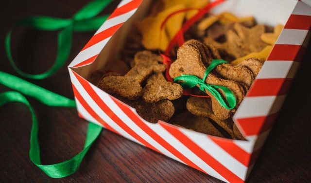 Best Christmas Dinner Recipes for Dogs