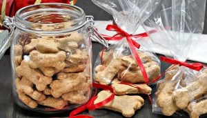 Christmas Dinner Recipes for Dogs