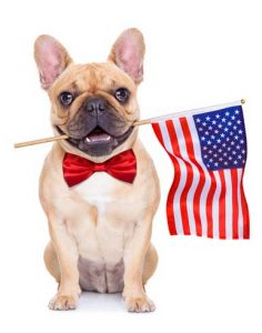 Dog toys made in America