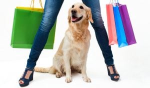 Online Dog Supplies Retailers With Best Deals and Discounts Until 2016's End