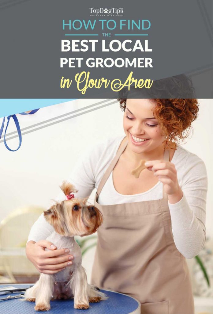 Tips How To Find Local Dog Groomers in Your Area