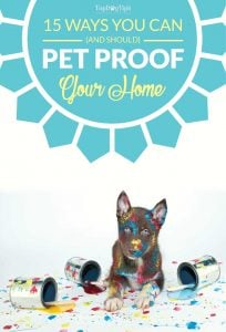 Tips on Pet Proofing Your Home in Preparation for a New Dog