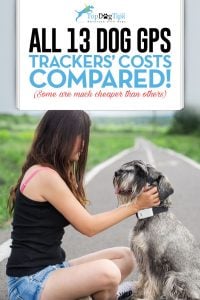 Top Dog GPS Trackers Service Costs Compared