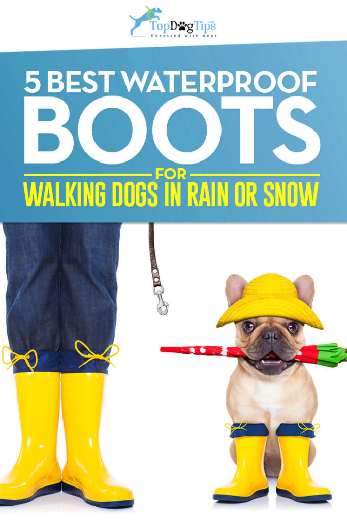 Top Rated Waterproof Boots to Walk Dogs In