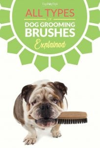 Types of Dog Grooming Brushes and Their Uses