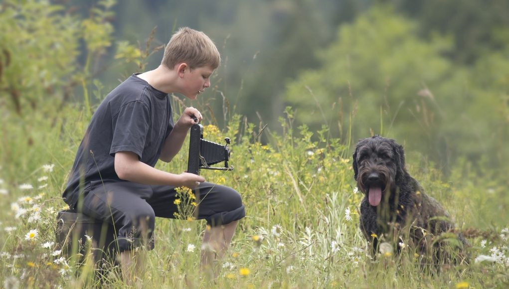 dog photography tips