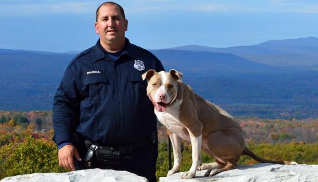 Abused and Abandoned Pit Bull Becomes New York’s First Police Dog