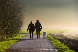 Ask friends to walk your dog