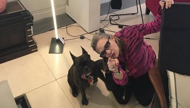 Carrie Fisher’s Service Dog Adopted by Daughter