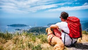 Dog Hiking Gear Guide