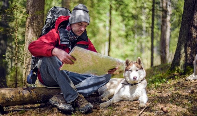 Dog Hiking Gear Guide