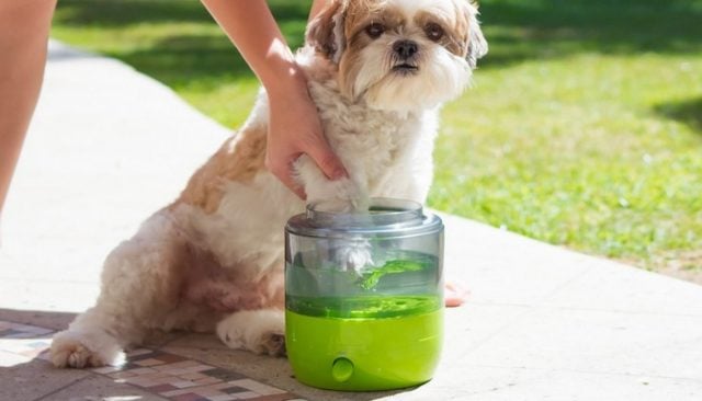 Introducing EasyPaw, the World’s First Automatic Paw Washer