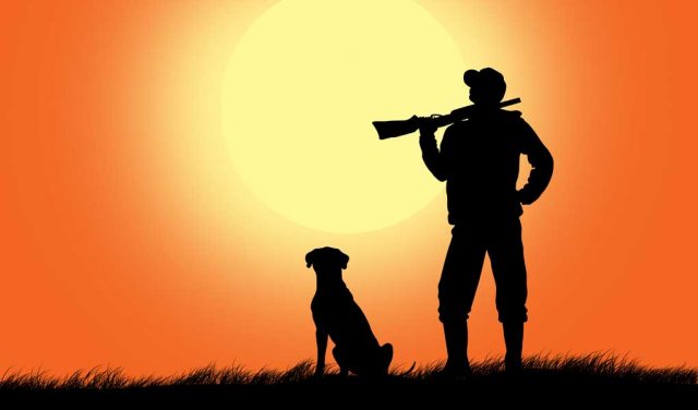 Tips for First Hunt with a Gun Dog