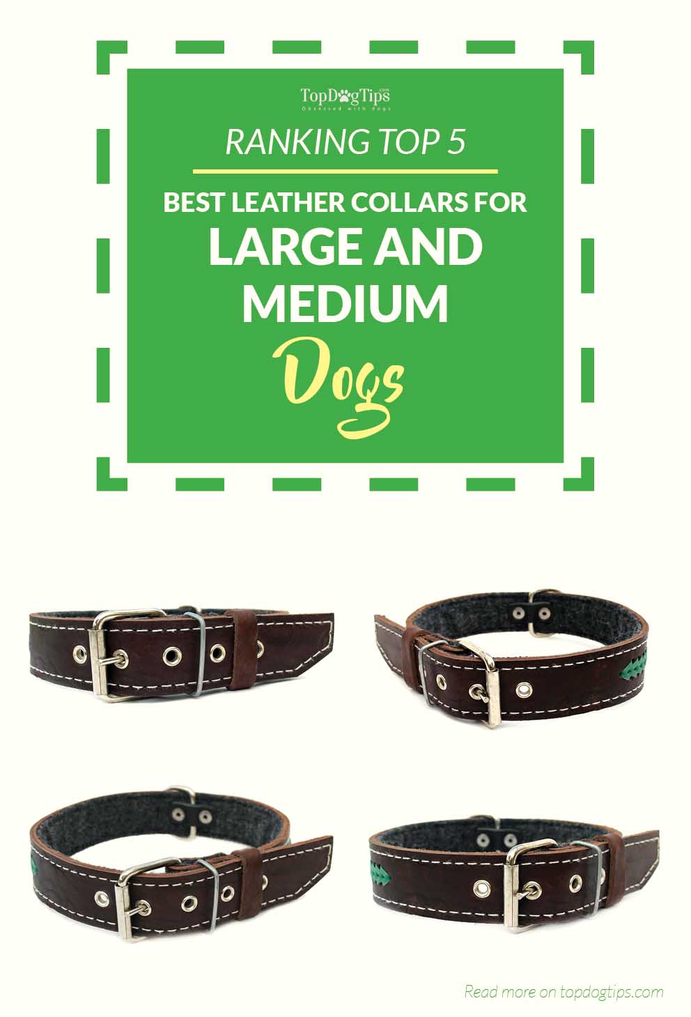 Top Best Leather Dog Collars for Big Dogs