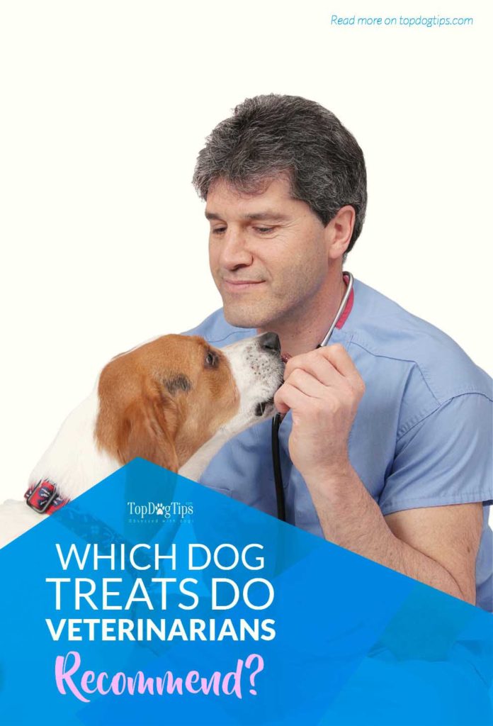 Which Dog Treats Do Veterinarians Recommend and Why