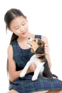 A small girl is playing with a puppy