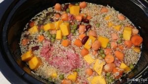 Been Bonanza crockpot dog food meal (the result)