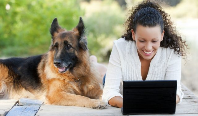 Best Sites and Resources for Pet Bloggers and Petpreneurs