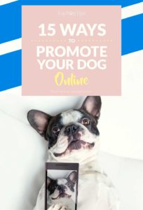 Best Ways To Promote Your Dog Online