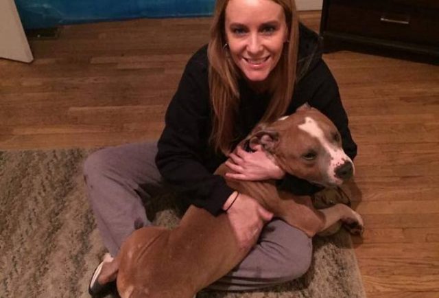 Check Out This Dog Who Can’t Stop Snuggling Her Rescuer