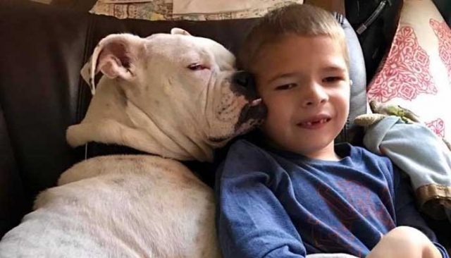 Deaf Dog and Boy