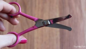 Scaredy Cut scissors I use to trim my dogs' face hair.