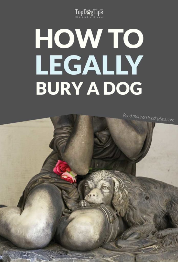 How to Bury a Dog Legally