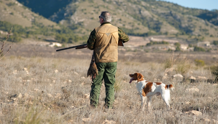 Invaluable Resources for Hunters with Gun Dogs